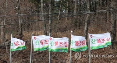부산 금정산 터널 인근 야산 농막서 불…2시간 만에 진화(종합)
