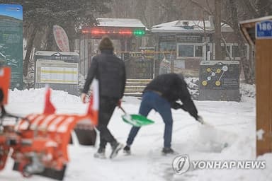제주 산지·중산간 대설특보…산간도로 통제, 강풍 피해도