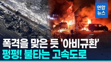 [영상] 일본 폭설 속 고속도로 '악몽'…차량 67대 쾅쾅쾅! 20대는 불길