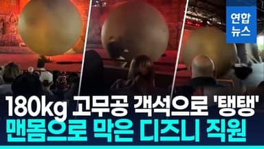 [영상] 180㎏ 고무공이 아이들 향해…맨몸으로 밀어낸 디즈니 직원