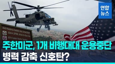 [영상] "평택기지 비행대대 운용 중단"…주한미군 감축 여부 '주목'