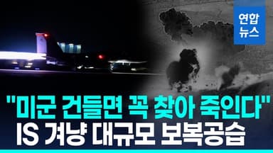 [영상] 미군 F-15E·A-10 출격…시리아 내 IS 대규모 보복공습
