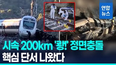 [영상] "충돌순간 위로 솟구쳐"…'160여명 사상' 고속열차 참사, 원인은
