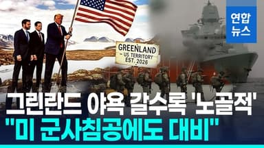 [영상] 그린란드에 대형 성조기 콱!…"미국의 군사침공 대비 식량 비축"