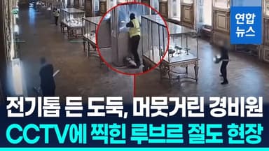 [영상] 머뭇머뭇하다 돌아선 경비원…루브르 1천500억 보물 도난 그날