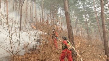 전남 광양 산불 야간진화 총력…산림청, 수리온 헬기 첫 투입(종합)