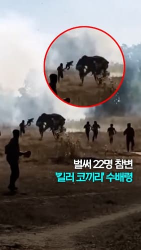 [쇼츠] 벌써 22명 참변…인도서 '킬러 코끼리' 수배령