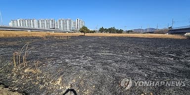 울산 물억새 군락지 방화 50대 구속영장 신청(종합)