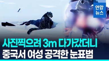 [영상] "사진 찍으려 3m 거리 접근"…중국서 여성 스키어 공격한 눈표범