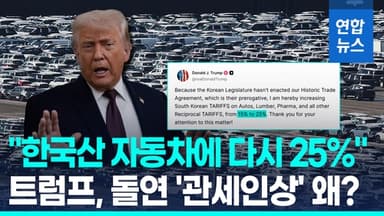 [영상] 트럼프 "한국산 제품 다시 25%"…돌연 '관세인상' 언급 왜?