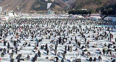 화천산천어축제 소개 영상 봇물…SNS에 6천건 업로드 인기