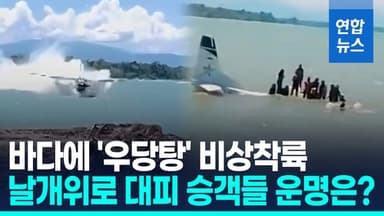 [영상] 경비행기 바다에 비상착륙…날개 위 대피 승객들 '구사일생'
