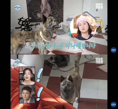 새 가족 생긴 개그우먼 박나래! 반려견 '복돌이'와의 좌충우돌 반려생활