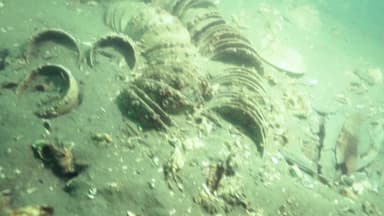 조선시대 선박 6백여 년 만에 첫 실물 인양...마도5호선 존재도 확인