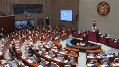 예결위 '항소 포기' 충돌..."내란 세력 몸부림" "정권 몰락 단초"