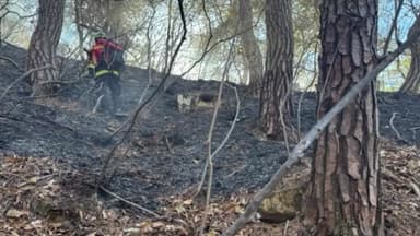 충북 진천·괴산에서 산불...헬기·차량 투입해 진화