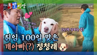 [돌발영상] 취임 100일 맞은 개아빠(?) 정청래