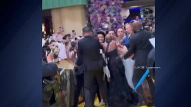 미국 팝스타 아리아나 그란데 덮친 남성 '징역 9일'