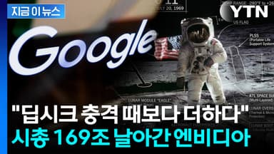 "잠자던 거인이 깨어났다"...엔비디아 시총 169조원 날려버린 구글 [지금이뉴스]