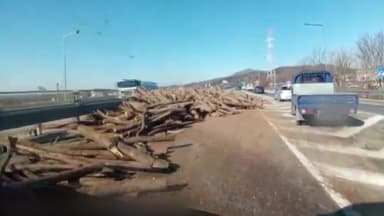 충남 아산 화물차 적재함서 나무 쏟아져...한때 정체