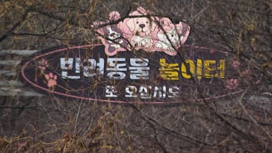 수억 원 들여 조성한 반려견 놀이터...반년 넘게 '개점휴업'