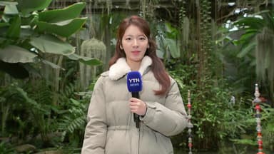 [날씨] 주말, 추위 점차 풀려...중부 중심 약한 비·눈