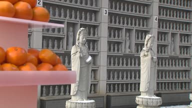 제철 맞은 향긋한 감귤...봉은사서 '감귤데이' 축제