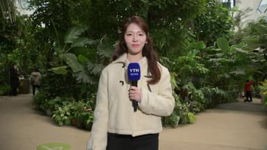 [날씨] 동장군 물러나고 추위 풀려...중부 중심 약한 비·눈