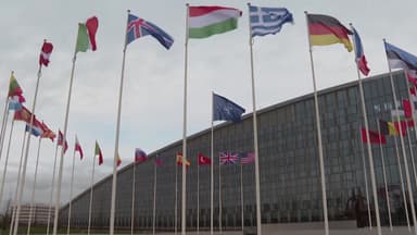 트럼프 '나토 발빼기' 시동...기로에선 국제 질서