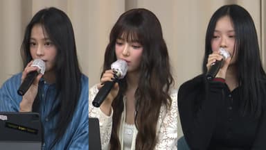 2인? 5인? 표류하는 뉴진스...민희진 "갈라치기"