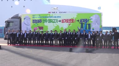제주 한우·돼지 싱가포르 간다...축산물 수출 '새 역사'
