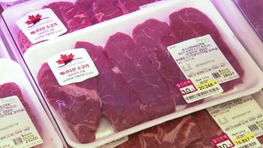 고환율에 물가 들썩...밥상 먹거리·기름값 '비상'