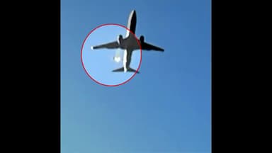 "공항 건설 때 조류 위험 평가"...이달 첫 지침 나온다