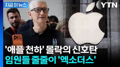 팀 쿡이 돈으로 붙잡아도 소용없다...절망적인 애플의 위기감 [지금이뉴스]