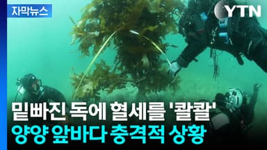[자막뉴스] "시설 설치된 지 몇 달 만에"...피 같은 예산 버려지는 중