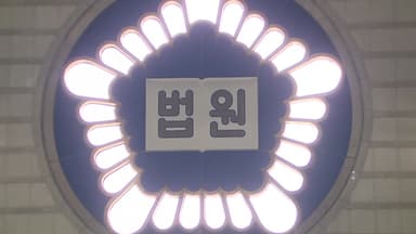 [뉴스UP] '위헌 논란' 내란재판부...민주당, 일단은 속도 조절?