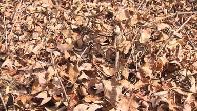 [날씨] 오늘 동해안·경남 산불 위험↑, 대형산불 조심...목요일 단비