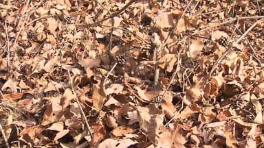 [날씨] 출근길, 어제보다 추위 덜해...동해안 대형 산불 주의