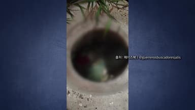 [나우쇼츠] 홍명보호 뛸 경기장 인근에서 시신가방 456개 발견