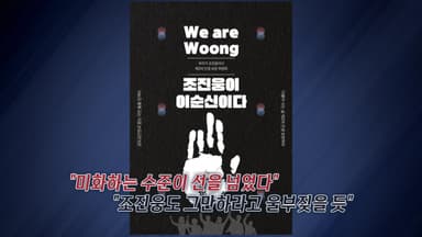 '조진웅이 이순신이다' 포스터 확산..."조진웅도 그만하라고 울부짖을 듯" [앵커리포트]