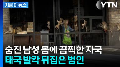 사람 살해하고 경찰 노려보다 달아나...태국 '발칵' [지금이뉴스]