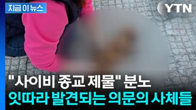 제수용 음식과 함께 발견된 고양이 사체들? "사이비 종교 제물로 쓰였다" [지금이뉴스]