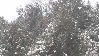 [날씨] 밤사이 기온 뚝, 강원 산간 10cm 눈...주말 중부 대설