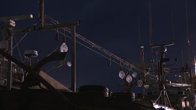 [단독] 싹쓸이에 '비밀어창'까지..."우리 어장 씨가 마른다"