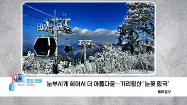 [포토오늘]12.12 신나는 겨울 방학