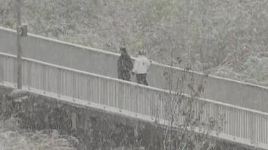 [날씨] 주말 중부 대설특보 수준 많은 눈..."최대 10cm"