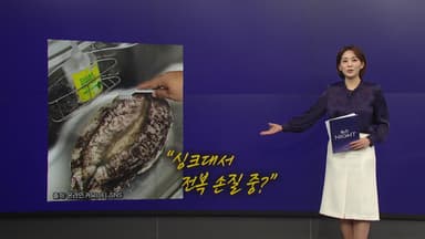 완도에 기부하고 받은 '전복 쿠션' 화제 [앵커리포트]