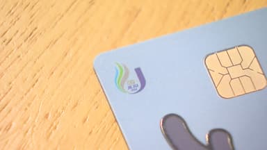 지역화폐 결합 학생증 출시...제주도 "경제 효과 기대"