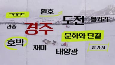 [키워드월드] '경주' 도전과 환호의 현장