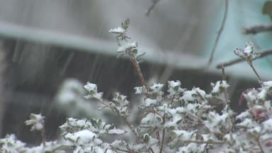 [날씨] 중부 중심 많은 눈...최대 15cm, 습설 유의하세요!